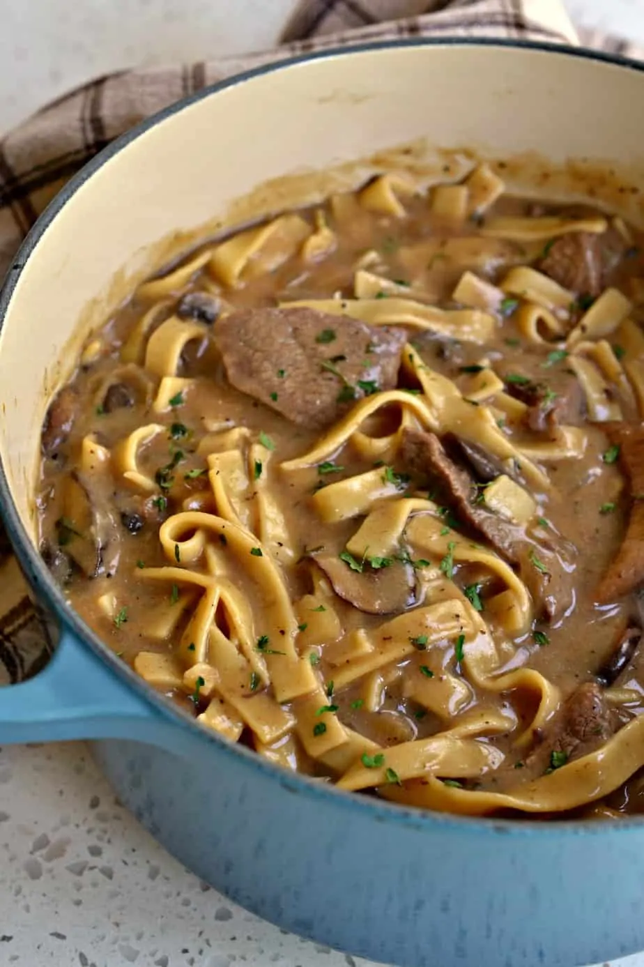 Beef Stroganoff combines tender bites of steak with onions, garlic, mushrooms and egg noodles in a rich creamy beef sauce. 