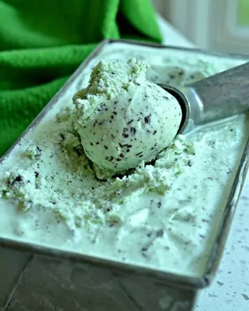 Mint Chocolate Chip Ice Cream