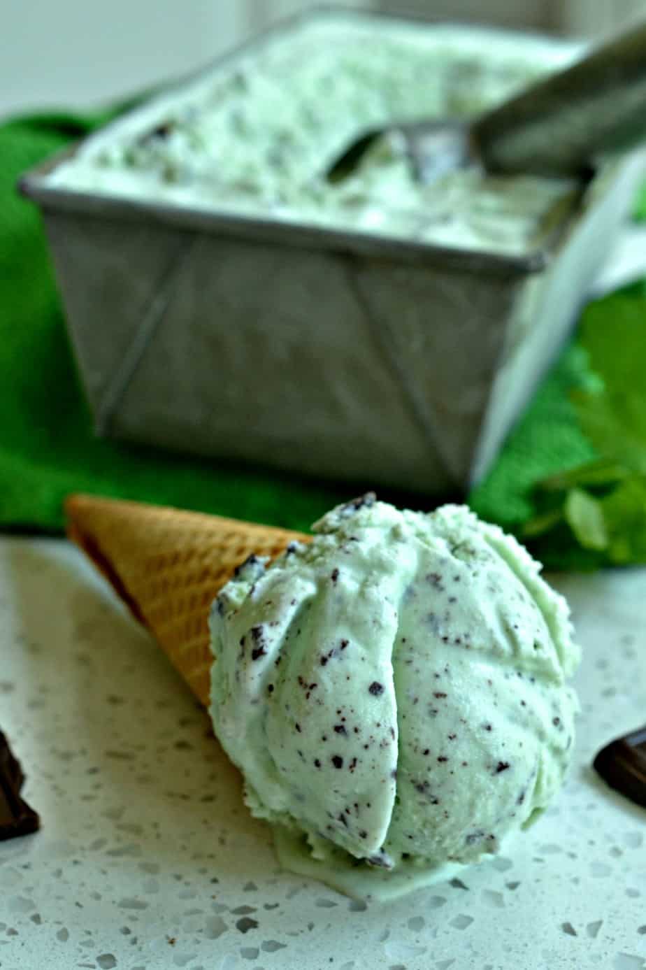 Mint Chocolate Chip Ice Cream Small Town Woman