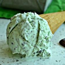 Mint Chocolate Chip Ice Cream