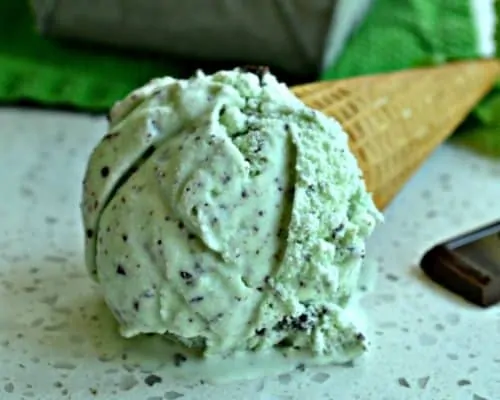 Best Mint Chip Ice Cream We Taste Tested