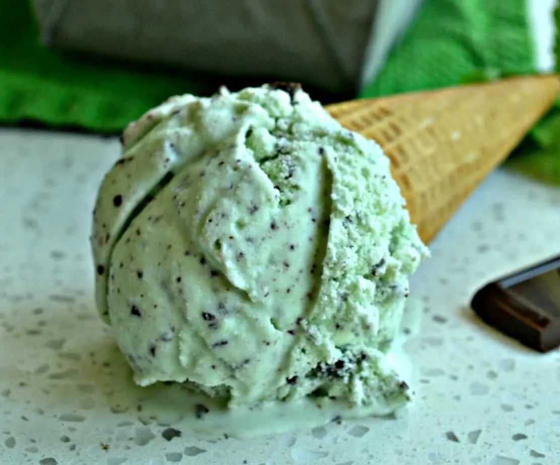 Mint Chocolate Chip Ice Cream