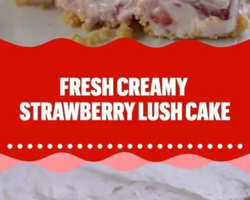 Strawberry Lush Cake