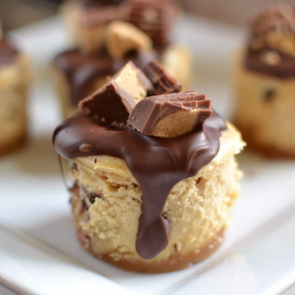 mini peanut butter cheesecakes small town woman mini peanut butter cheesecakes small town woman