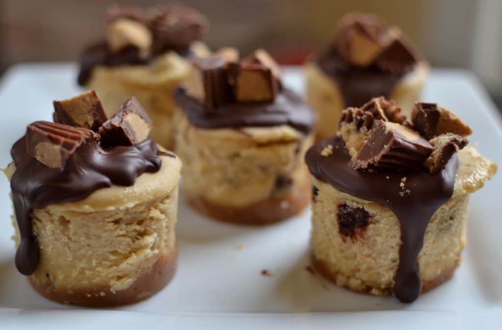 Bite size peanut butter cheesecakes