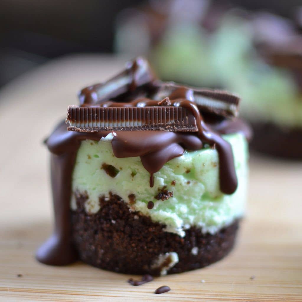 Andes Mint Mini Cheesecake