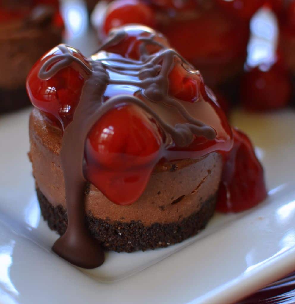 Black Forest Mini Cheesecakes (6)