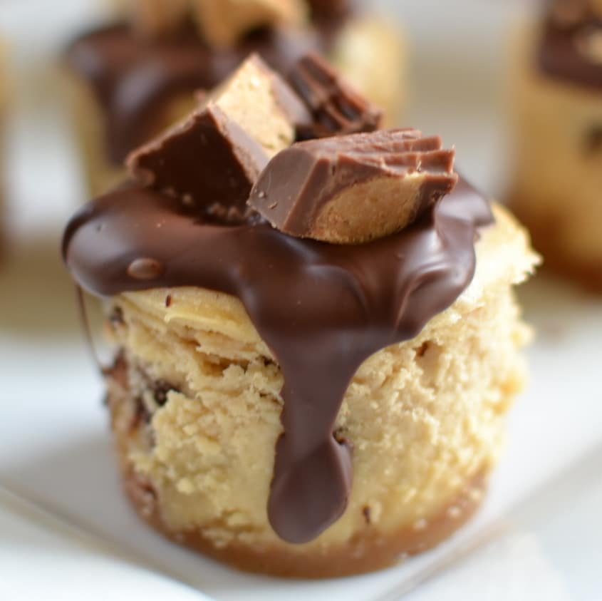 mini s mores cheesecakes small town woman mini s mores cheesecakes small town woman