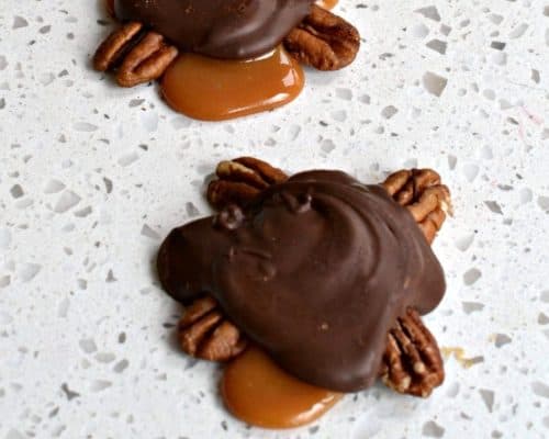 Dark Chocolate Turtles