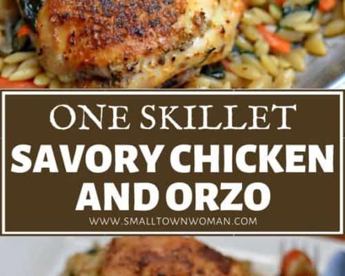 One Skillet Savory Chicken and Orzo