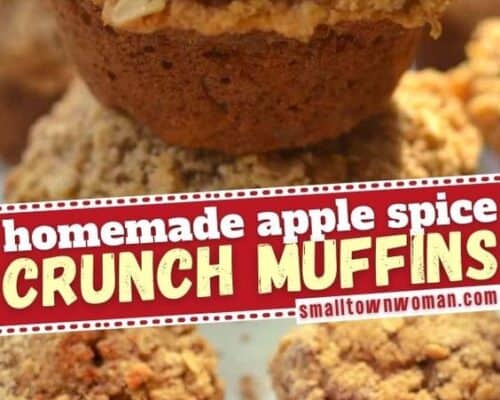 Homemade Apple Spice Crunch Muffins