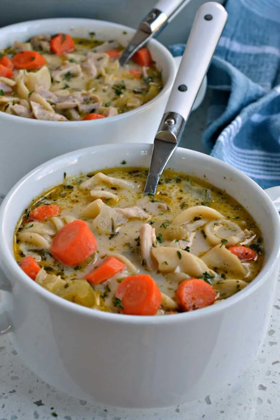 Easy Rotisserie Chicken Noodle Soup (Egg Noodles) « Clean & Delicious