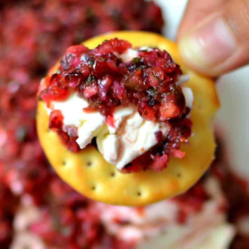 Cranberry Salsa (A Five Minute Gorgeous Holiday Appetizer)