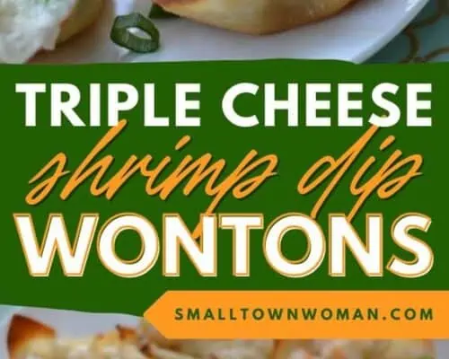 Triple Cheese Shrimp Dip Wontons
