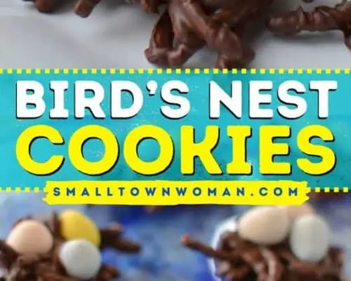 Bird's Nest Cookies