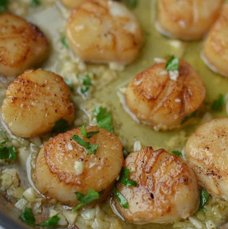 Seared Garlic Lemon Butter Scallops Small Town Woman