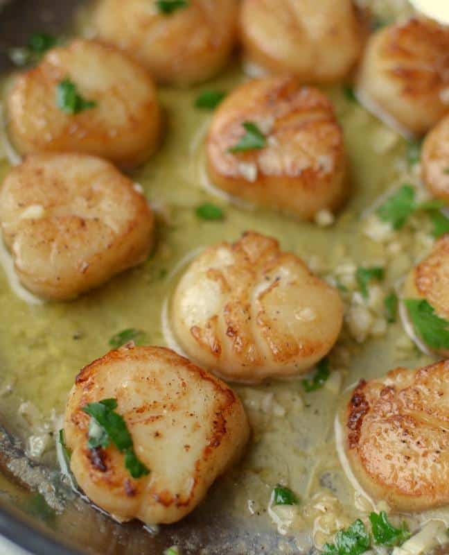 Seared Garlic Lemon Butter Scallops Small Town Woman