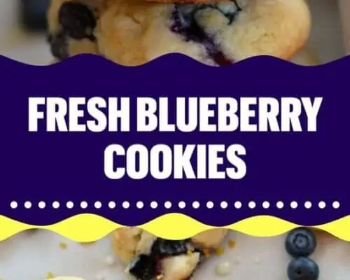 Blueberry Cookies