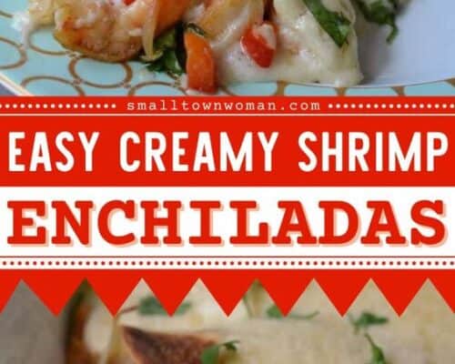 Shrimp Enchiladas