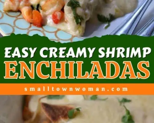 Shrimp Enchiladas