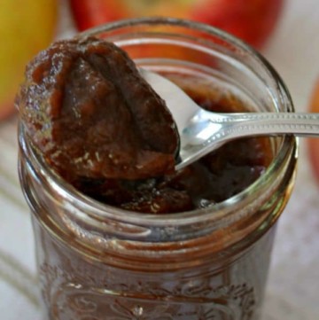 Apple Butter (An Easy Delicious Traditional Fall Crock Pot Recipe)