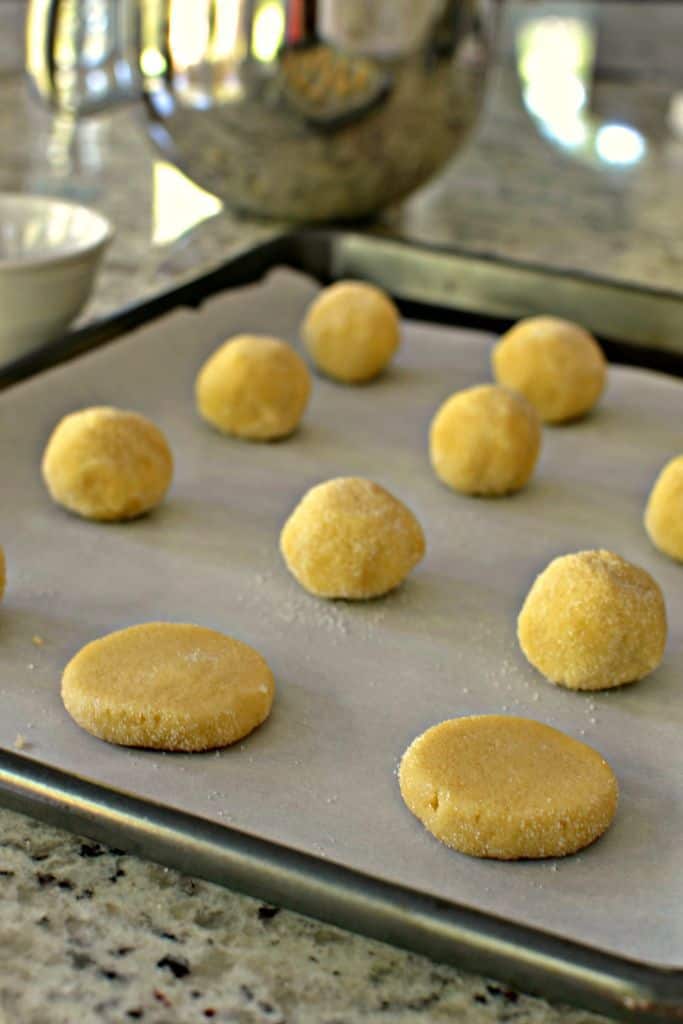 Roll the homemade sugar cookie dough into balls, coat with sugar, and place on the baking sheet