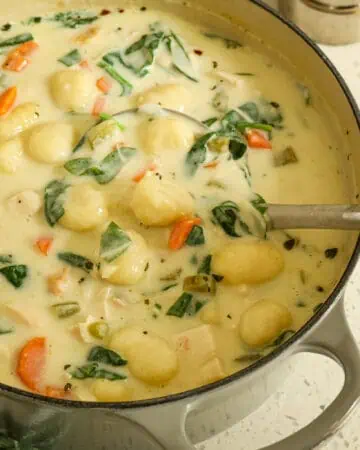 Chicken Gnocchi Soup