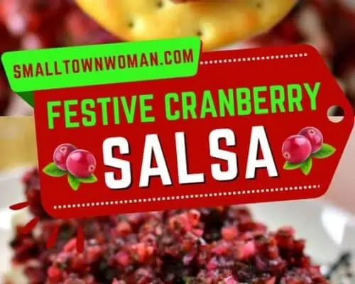 Cranberry Salsa