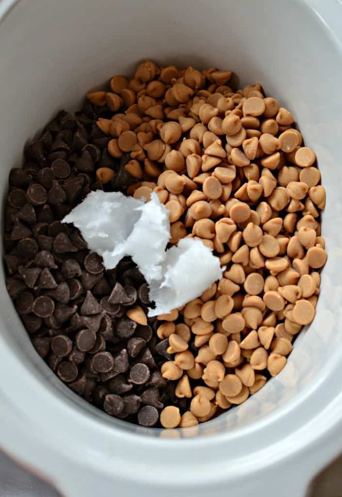 Simply put the chocolate chips, peanut butter chips, and coconut oil (or shortening) in the covered crockpot on low. 