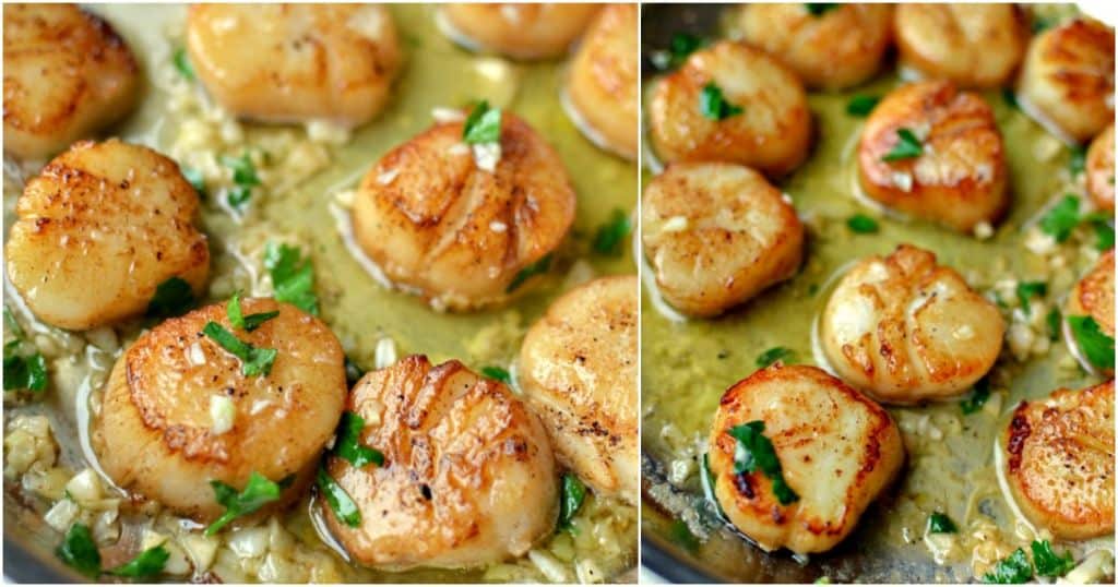Seared Scallops with Garlic Lemon Butter