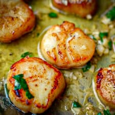 Garlic Lemon Butter Seared Scallops-image