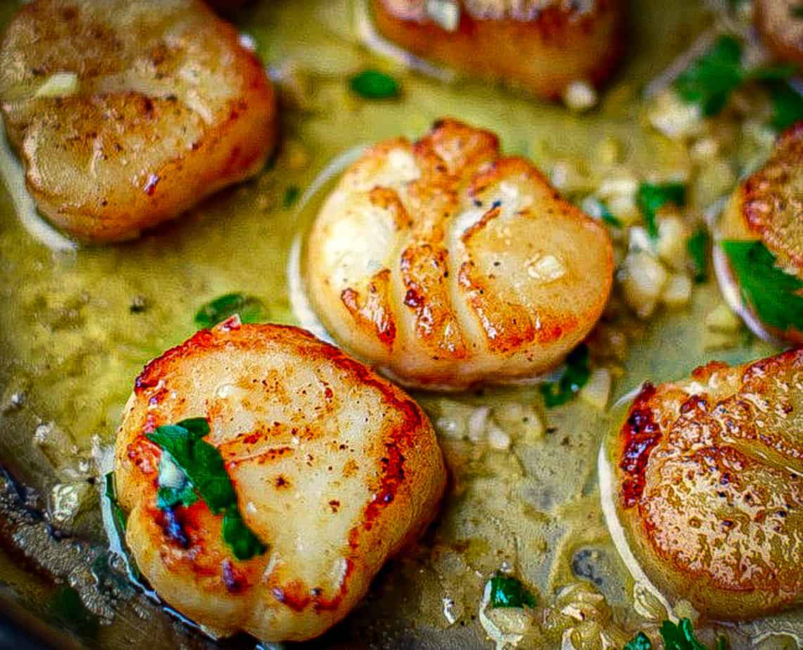 Seared Scallops