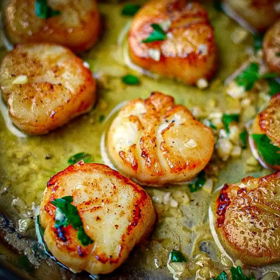 Pan Seared Scallops