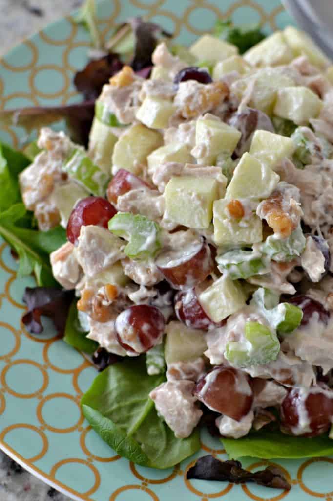Chicken salad with grapes, apples and pecans. 
