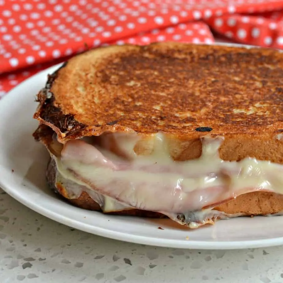 Toasted Sandwich (Egg and Cheese) - Yummieliciouz