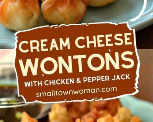 Cream Cheese Wontons