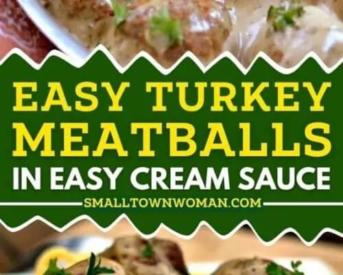 Turkey Meatballs