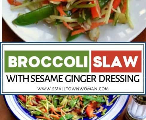 Broccoli Slaw with Sesame Ginger Dressing