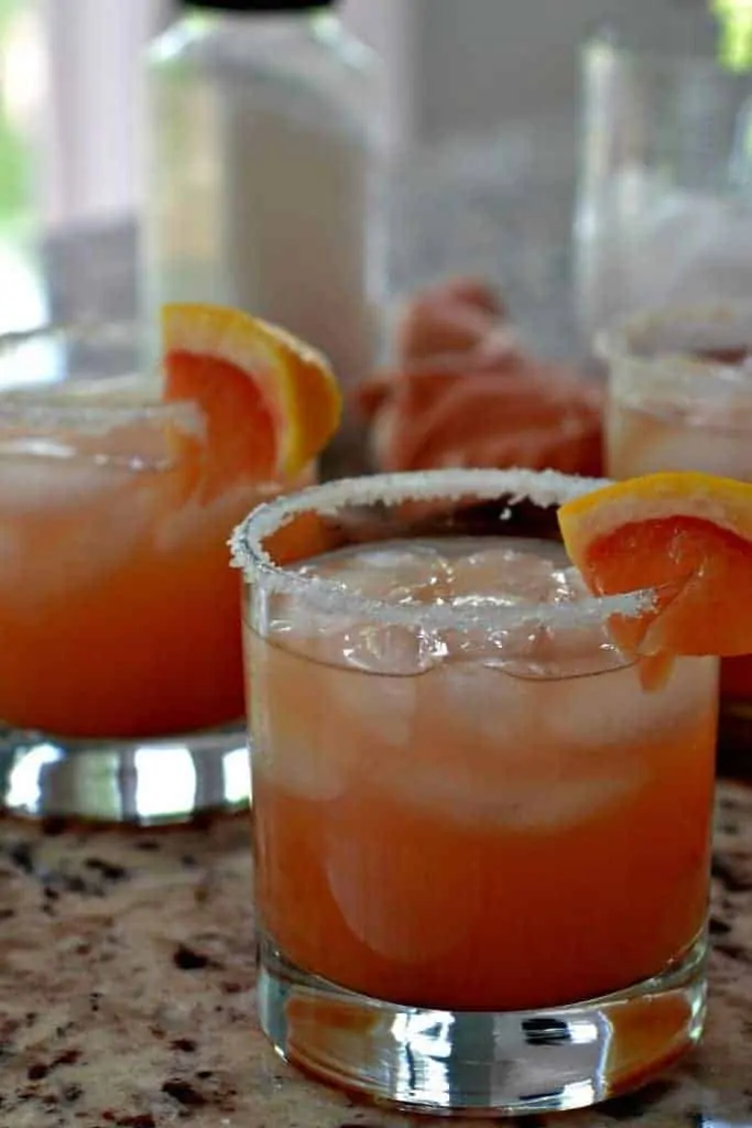 A Salty Dog Cocktail is tart and sweet, topped with a slice of grapefruit