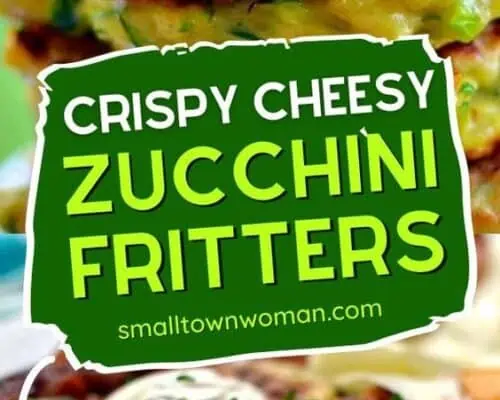 Zucchini Gouda Fritters