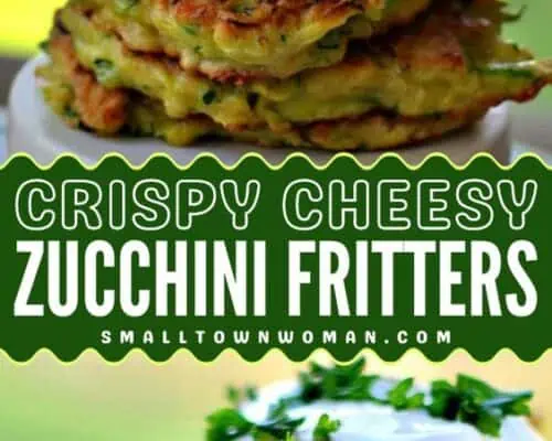 Zucchini Gouda Fritters