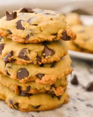 Chocolate Chip Pudding Cookies