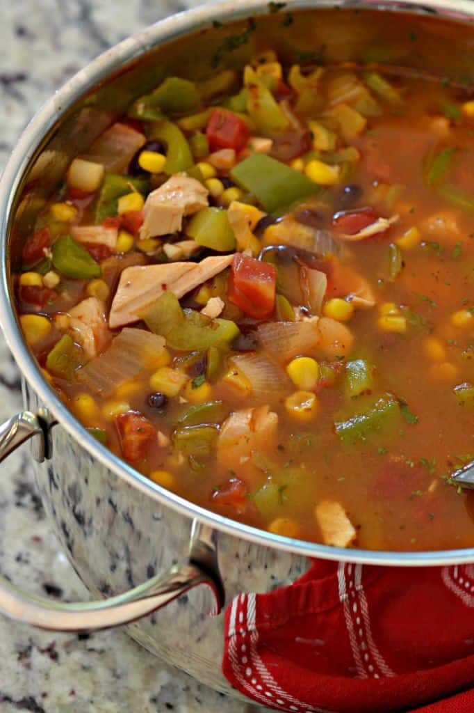 Make this Chicken Enchilada Soup Recipe for an easy, filling Fall dinner that saves great as leftovers