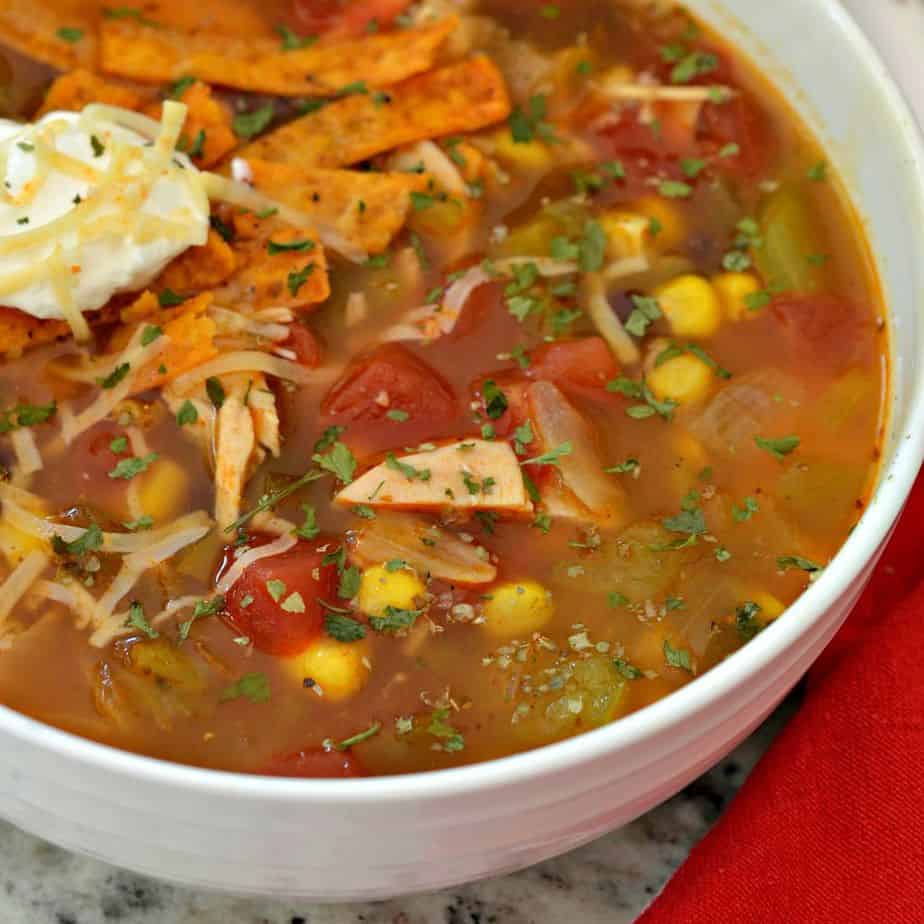 Easy Chicken Enchilada Soup Recipe for Fall | Small Town Woman