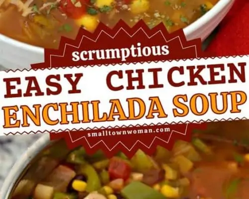 Chicken Enchilada Soup