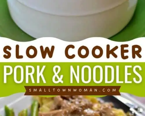 Crock Pot Pork and Noodles