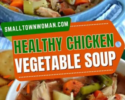 Chicken Vegetable Soup