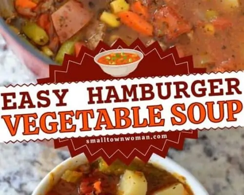 Easy Hamburger Vegetable Soup
