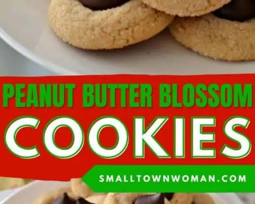 Peanut Butter Blossum Cookies