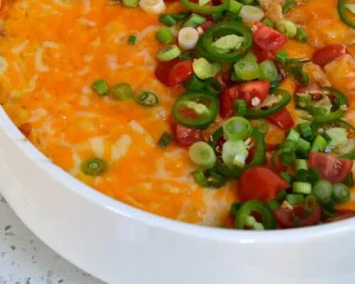 Warm Bean Dip